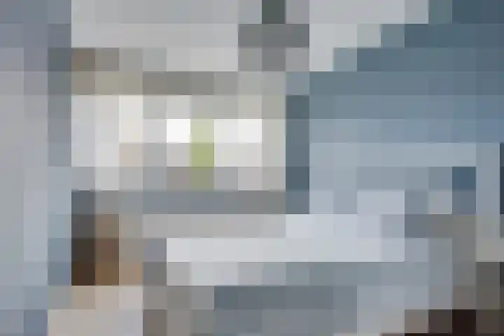 Schaapsdreef 4 Den Bommel thumbnail 51
