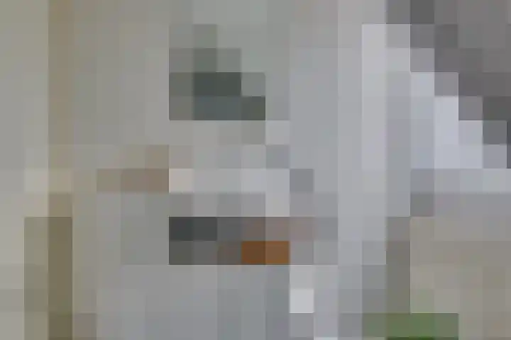 Schaapsdreef 4 Den Bommel thumbnail 59