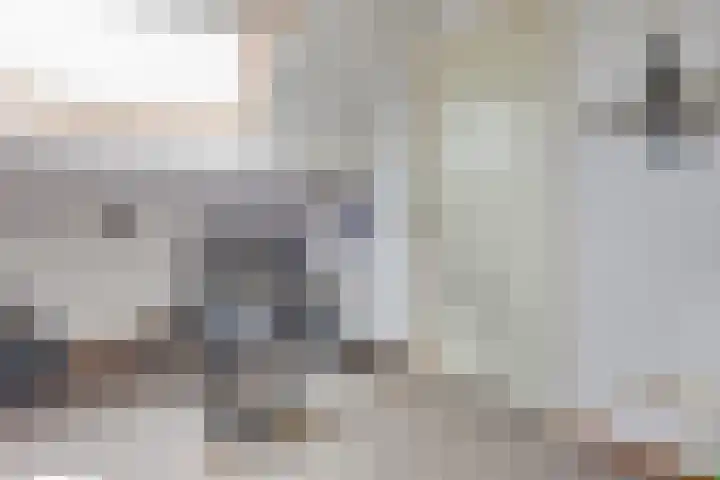 Schaapsdreef 4 Den Bommel thumbnail 62