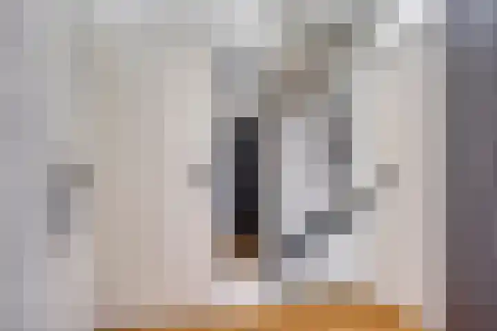 Schaapsdrift 1 Zevenaar thumbnail 12