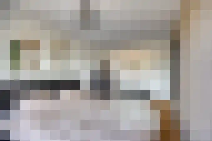 Schaapsdrift 1 Zevenaar thumbnail 14
