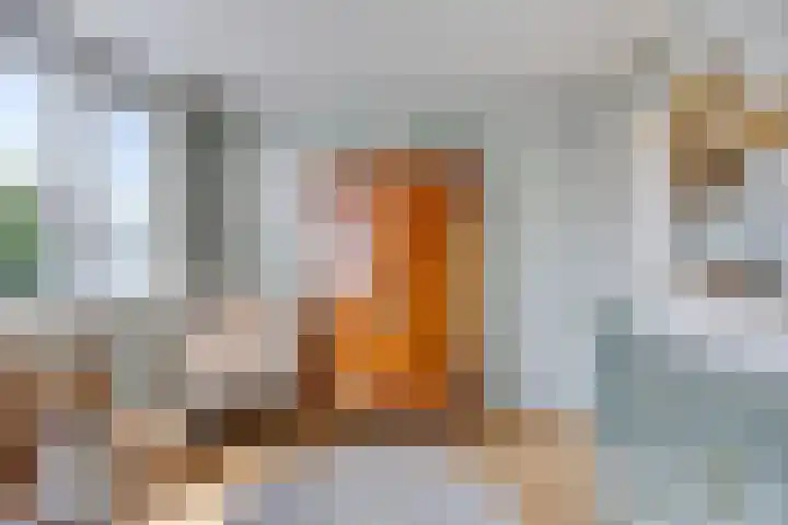 Schaapsdrift 1 Zevenaar thumbnail 16