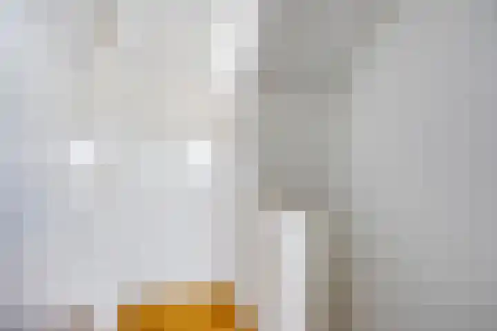 Schaapsdrift 1 Zevenaar thumbnail 19