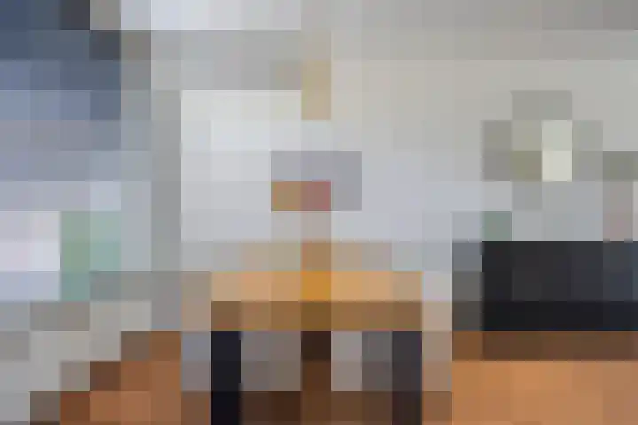 Schaapsdrift 1 Zevenaar thumbnail 8