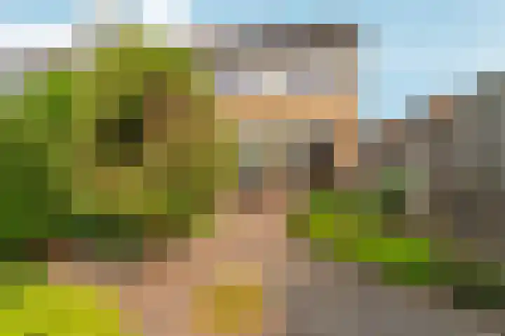 Schaapsdrift 13 Zevenaar foto 2