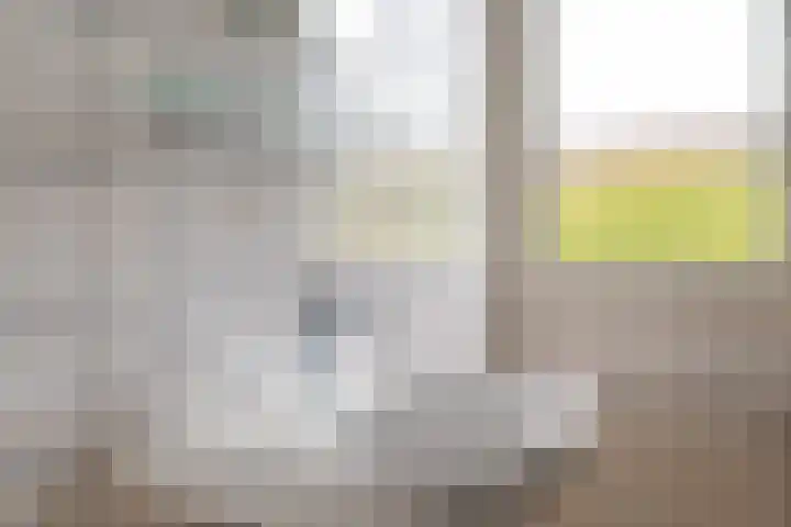 Schaapsdrift 13 Zevenaar thumbnail 27