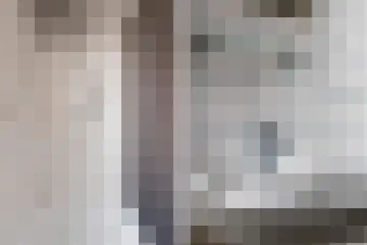 Schaapsdrift 13 Zevenaar thumbnail 28