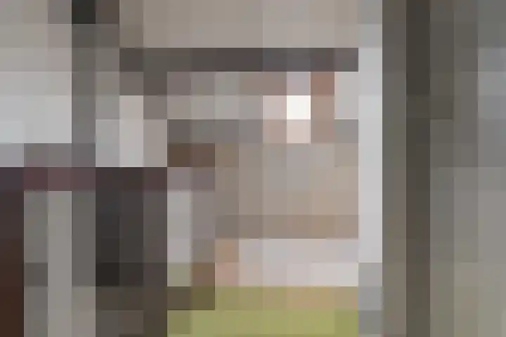 Schaapsdrift 13 Zevenaar thumbnail 31