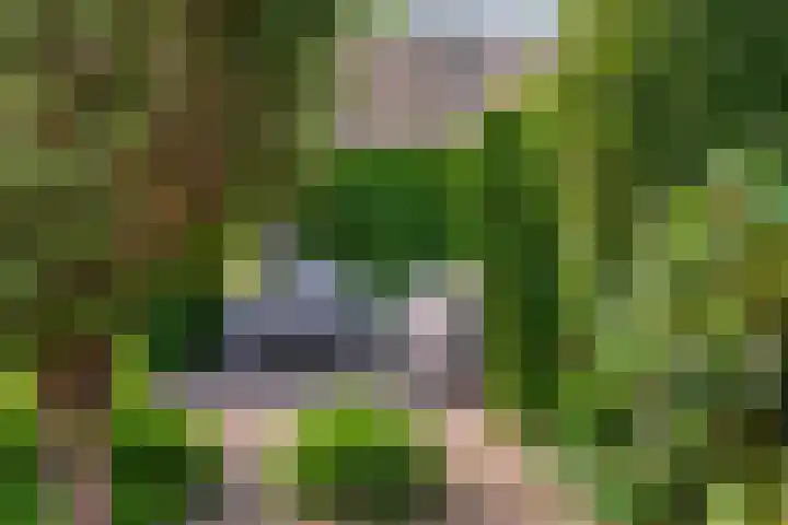 Schaapsdrift 13 Zevenaar thumbnail 36