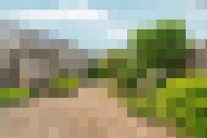 Schaapsdrift 13 Zevenaar thumbnail 38