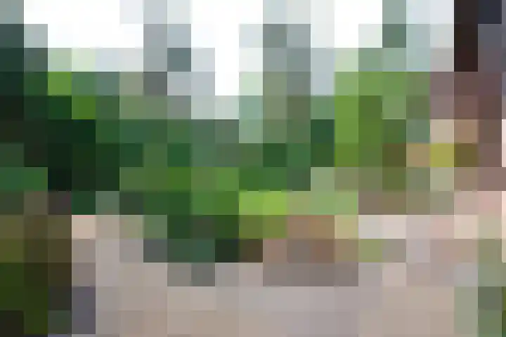 Schaapsdrift 13 Zevenaar thumbnail 4