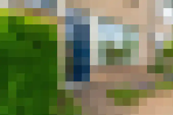 Schaapsdrift 13 Zevenaar thumbnail 43