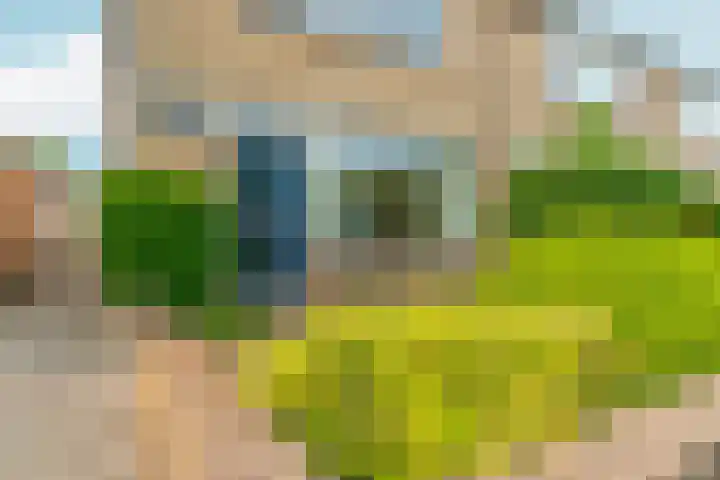 Schaapsdrift 13 Zevenaar thumbnail 44