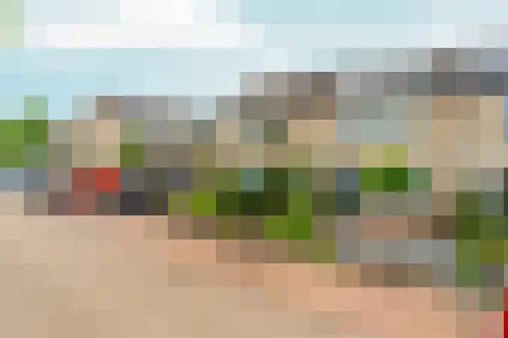 Schaapsdrift 13 Zevenaar thumbnail 46