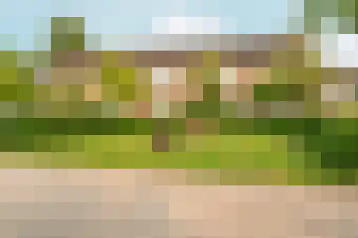 Schaapsdrift 13 Zevenaar thumbnail 49
