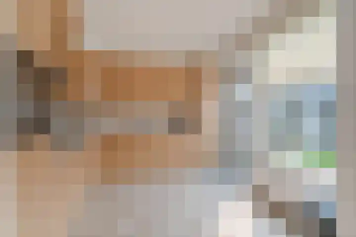 Schaapsdrift 13 Zevenaar thumbnail 5