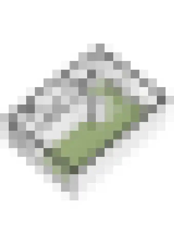 Schaapsdrift 13 Zevenaar thumbnail 51