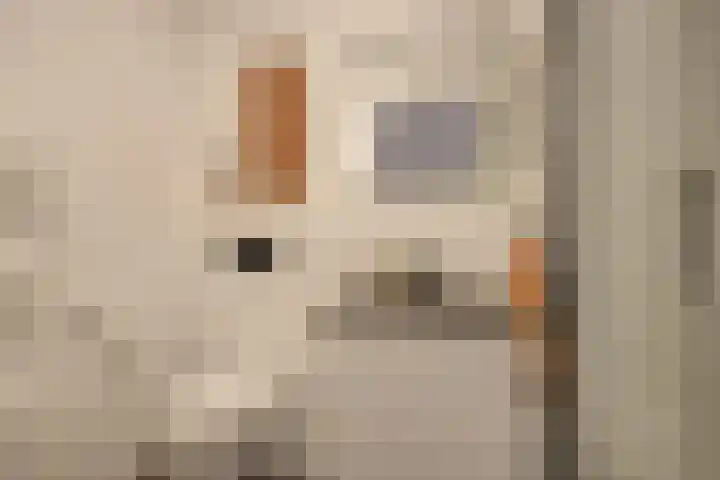 Schaapsdrift 13 Zevenaar thumbnail 52