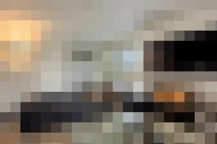 Schaapsdrift 13 Zevenaar thumbnail 53