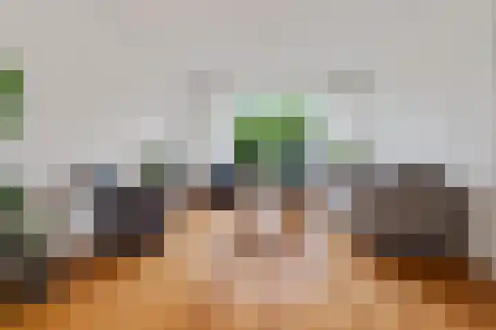 Schaapsdrift 13 Zevenaar thumbnail 7