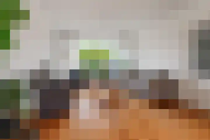 Schaapsdrift 13 Zevenaar thumbnail 9