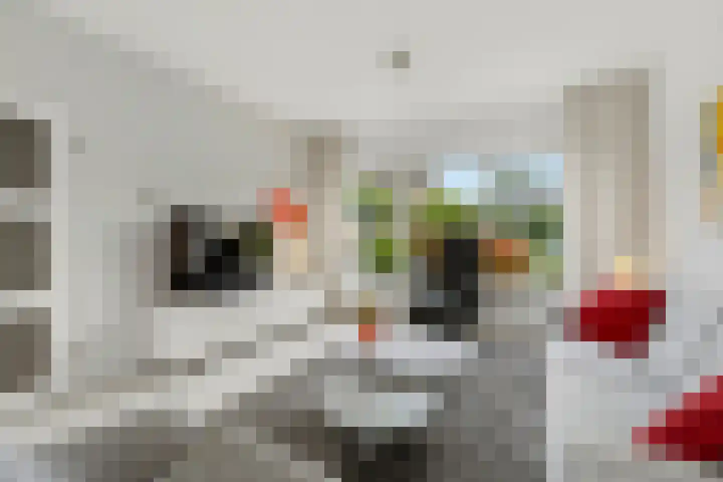 Schaapsdrift 134 Zevenaar thumbnail 10
