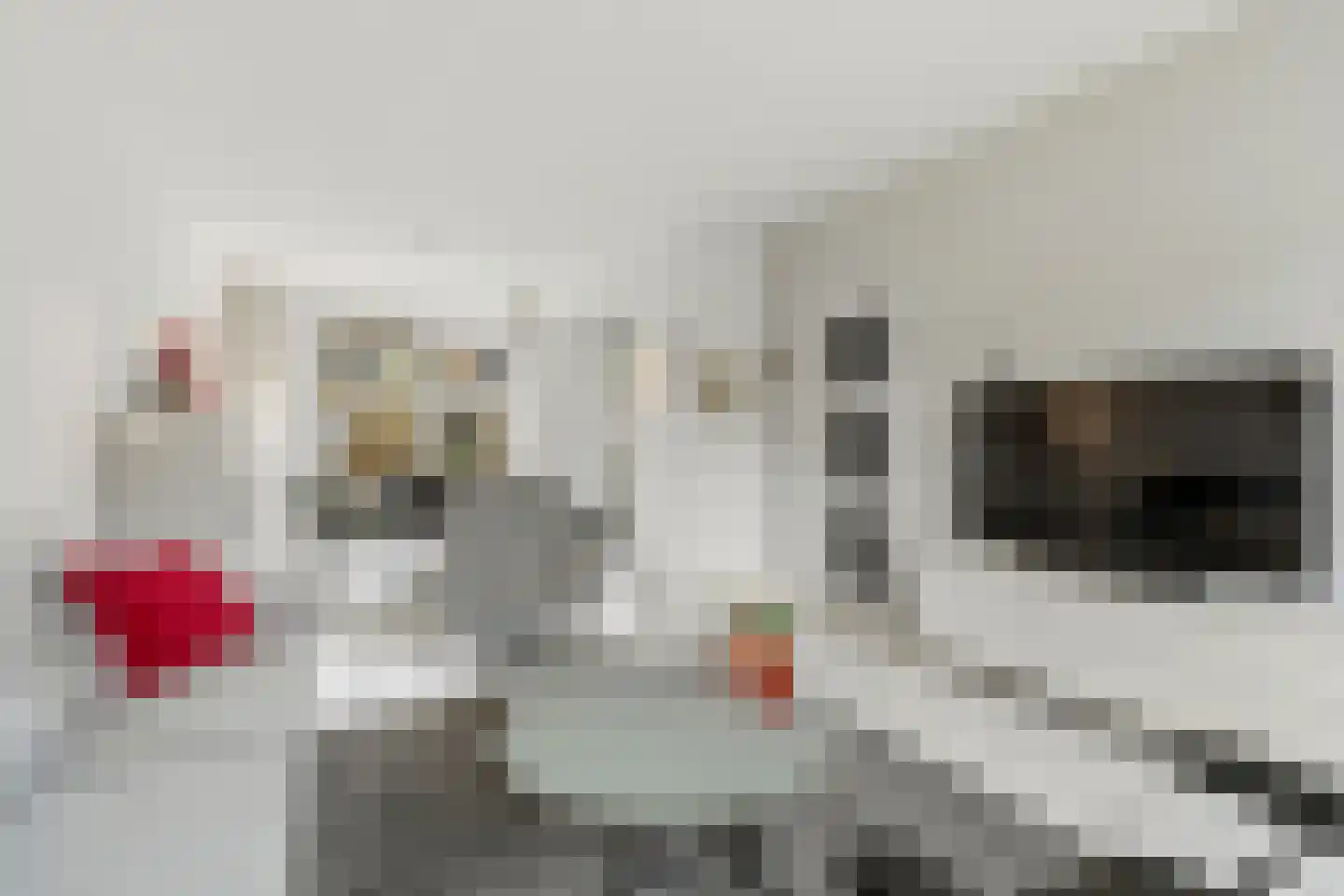 Schaapsdrift 134 Zevenaar thumbnail 11