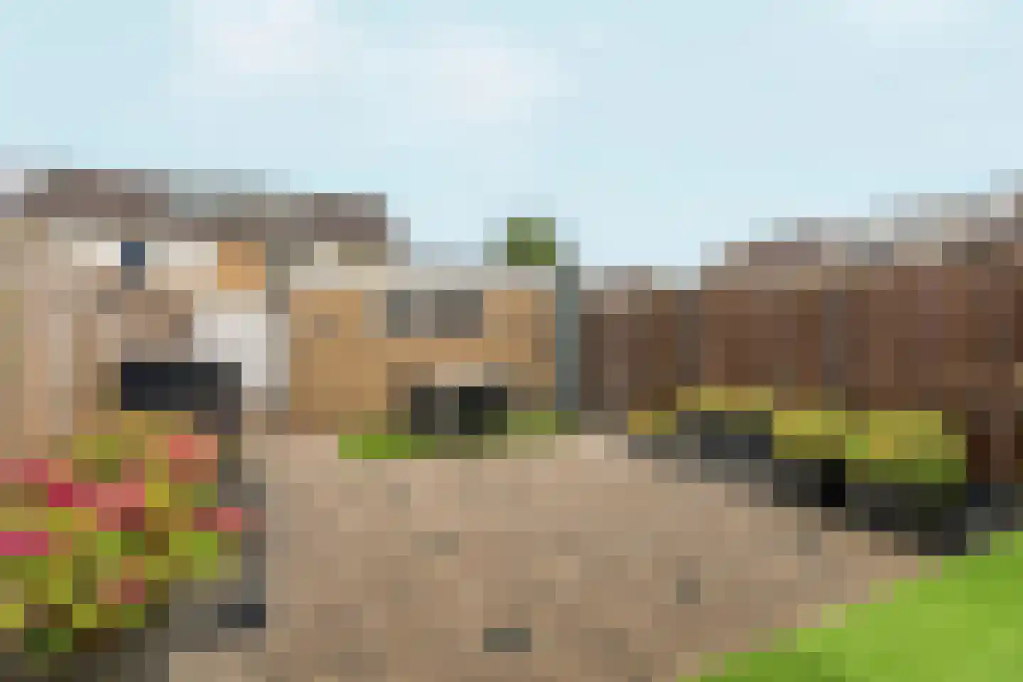 Schaapsdrift 134 Zevenaar thumbnail 28