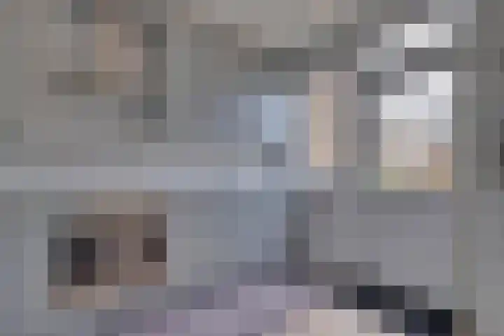 Schaapsdrift 160 Zevenaar thumbnail 14