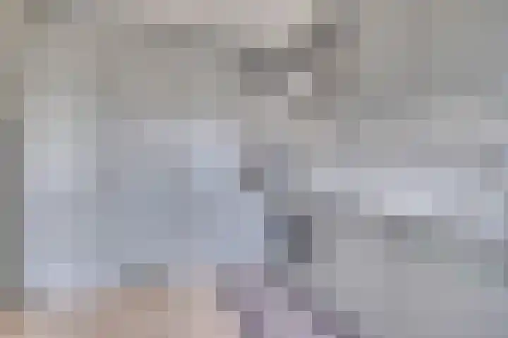 Schaapsdrift 160 Zevenaar thumbnail 16