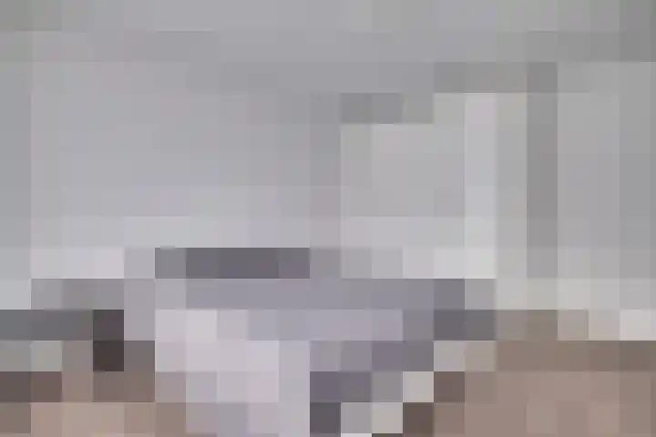 Schaapsdrift 160 Zevenaar thumbnail 20