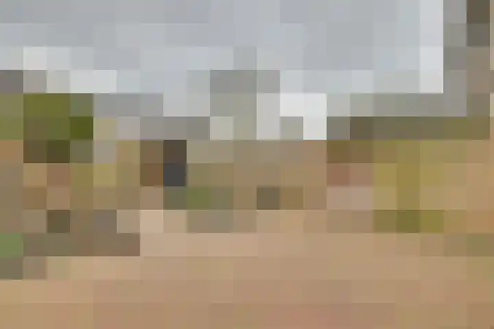 Schaapsdrift 160 Zevenaar thumbnail 27