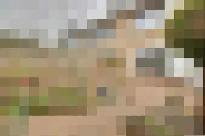 Schaapsdrift 160 Zevenaar thumbnail 29