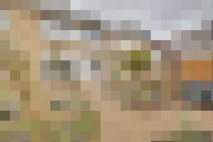 Schaapsdrift 160 Zevenaar thumbnail 30