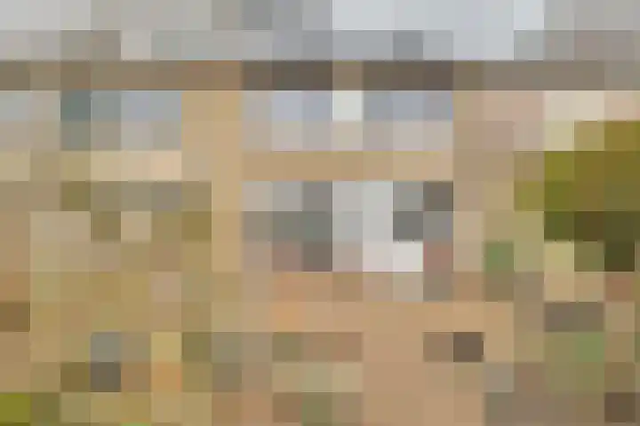 Schaapsdrift 160 Zevenaar thumbnail 31
