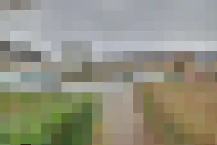 Schaapsdrift 160 Zevenaar thumbnail 32