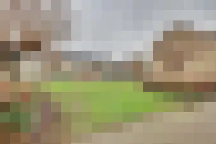 Schaapsdrift 160 Zevenaar thumbnail 33
