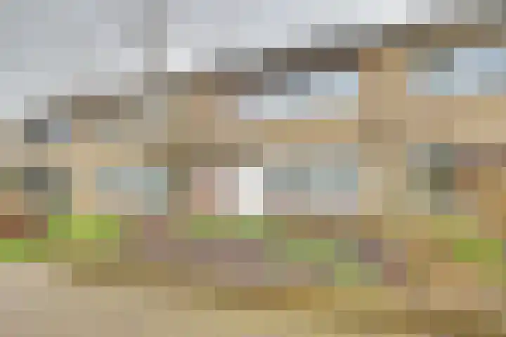 Schaapsdrift 160 Zevenaar thumbnail 7
