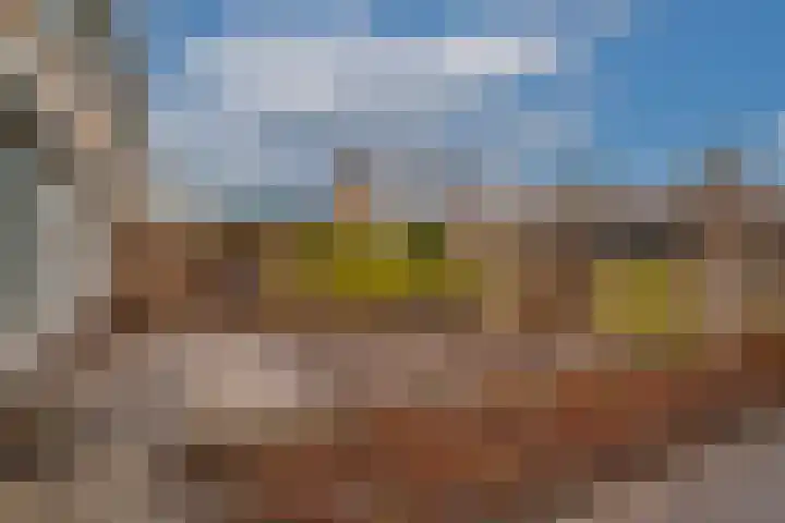 Schaapsdrift 166 Zevenaar thumbnail 14