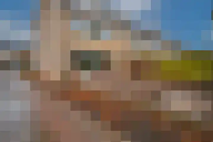 Schaapsdrift 166 Zevenaar thumbnail 4