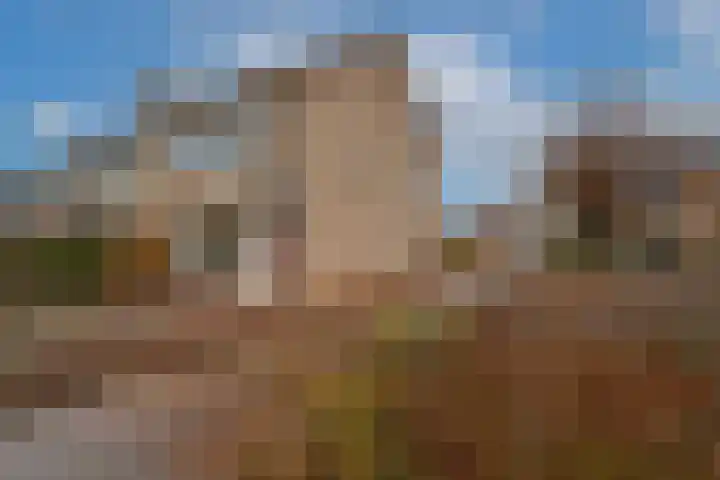 Schaapsdrift 166 Zevenaar thumbnail 6