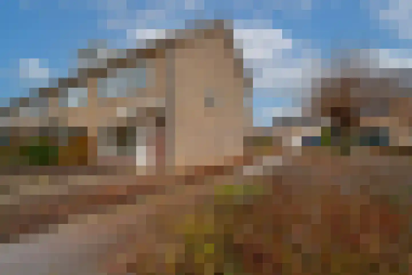 Schaapsdrift 166 Zevenaar thumbnail 6