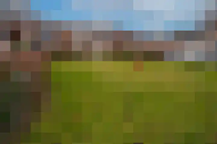 Schaapsdrift 166 Zevenaar thumbnail 7