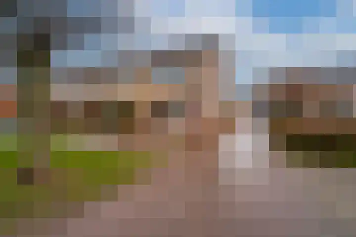 Schaapsdrift 166 Zevenaar thumbnail 8