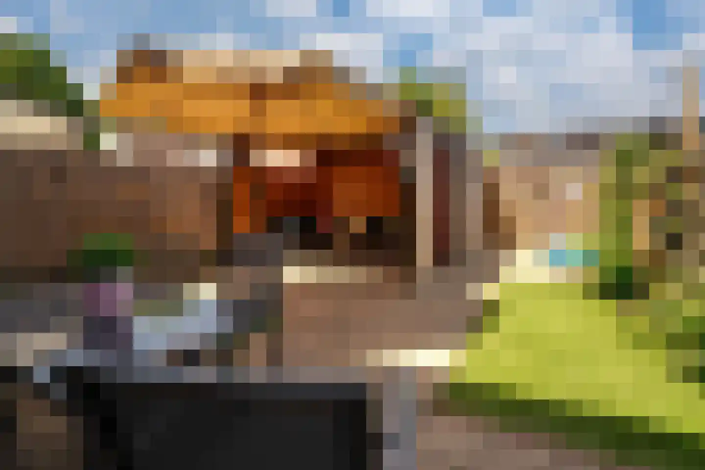 Schaapsdrift 18 Zevenaar thumbnail 13