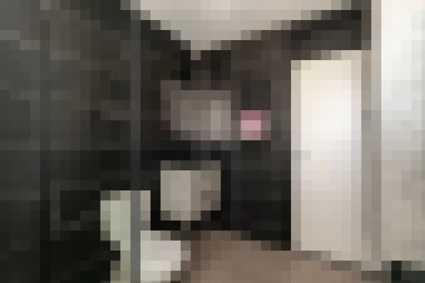 Schaapsdrift 18 Zevenaar thumbnail 26