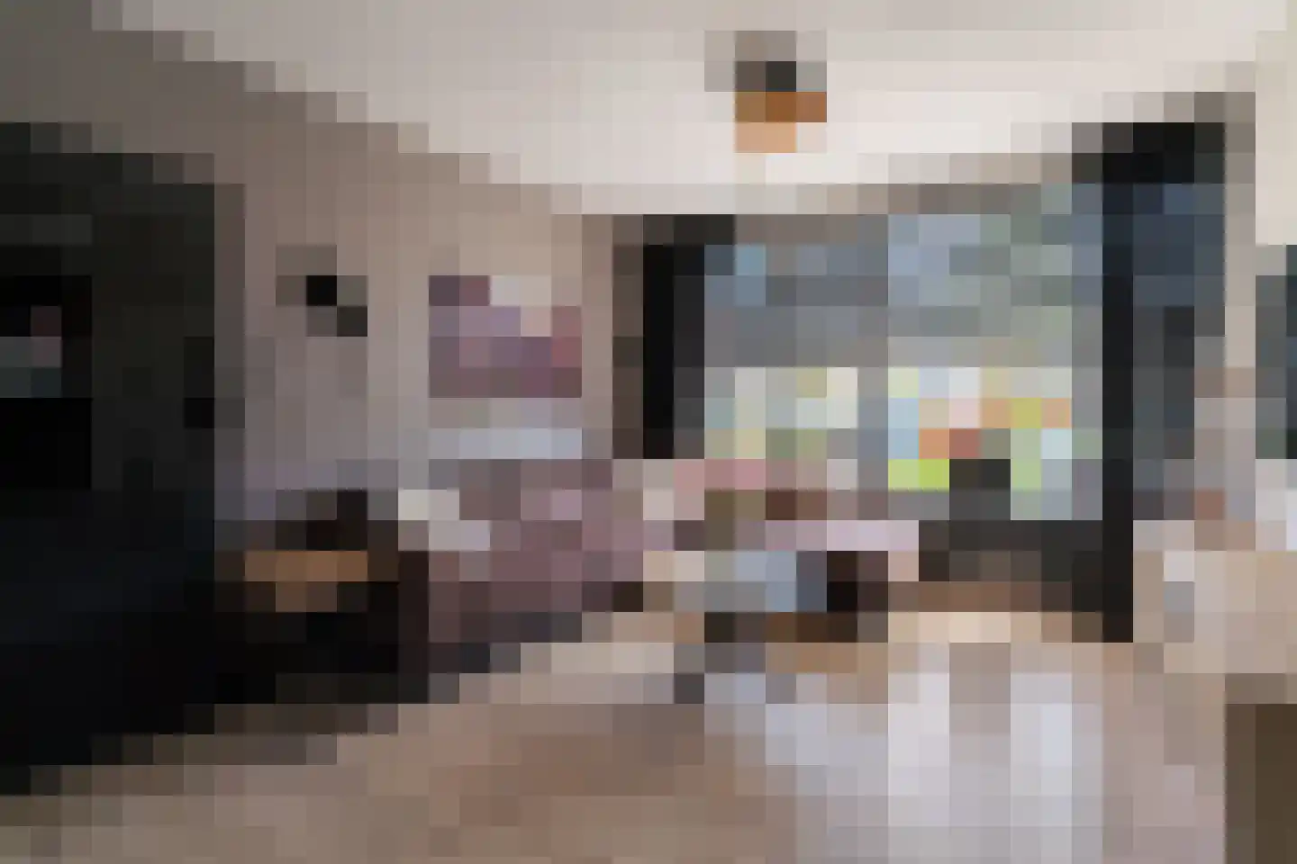 Schaapsdrift 18 Zevenaar thumbnail 4