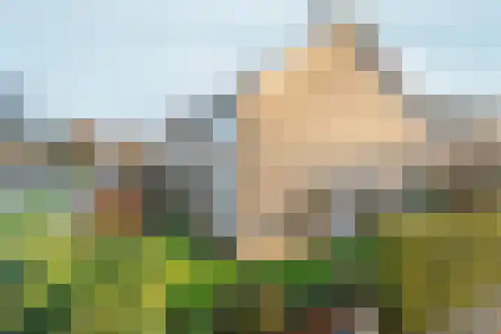 Schaapsdrift 191 Zevenaar foto 2