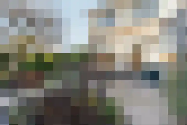 Schaapsdrift 191 Zevenaar foto 3