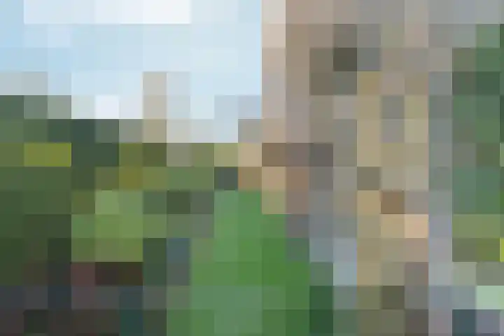 Schaapsdrift 191 Zevenaar thumbnail 37